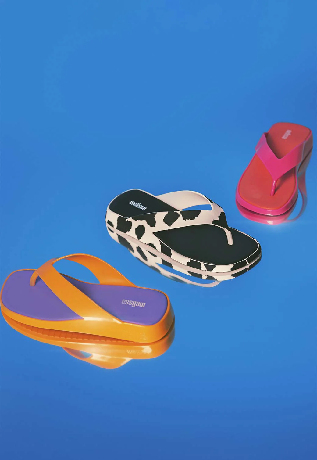 תמונת מוצר 5