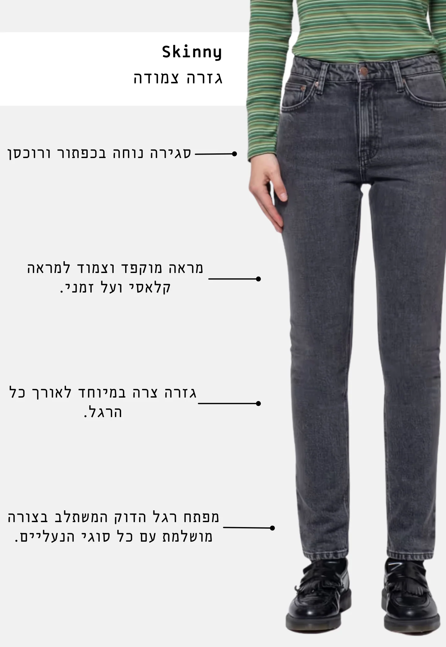 תמונת מוצר 2