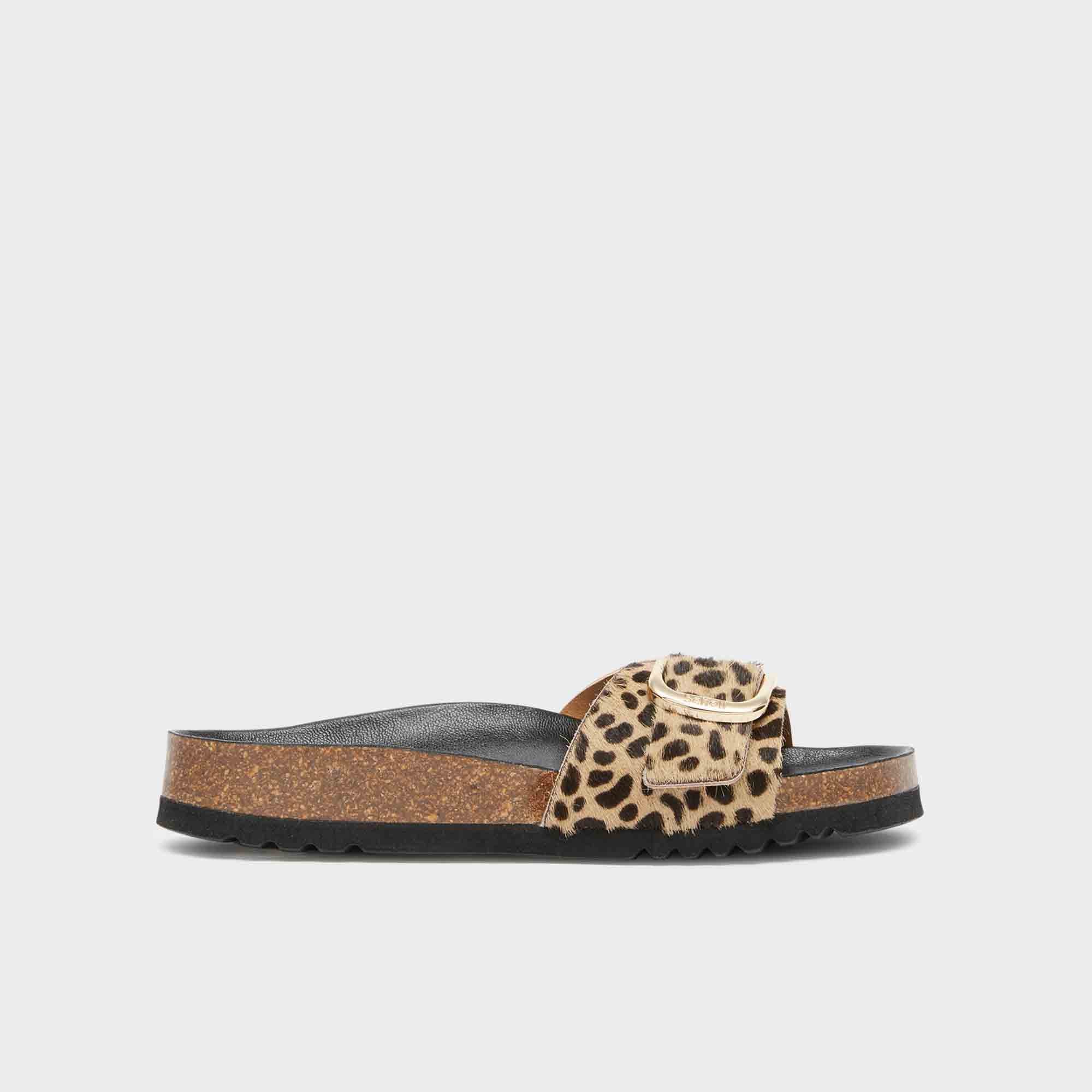 תמונה ממוזערת 2